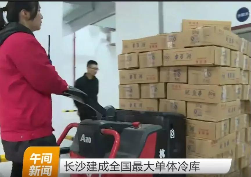 杭州叉車(chē)成為中國(guó)最大單體冷庫(kù)搬運(yùn)主力軍！